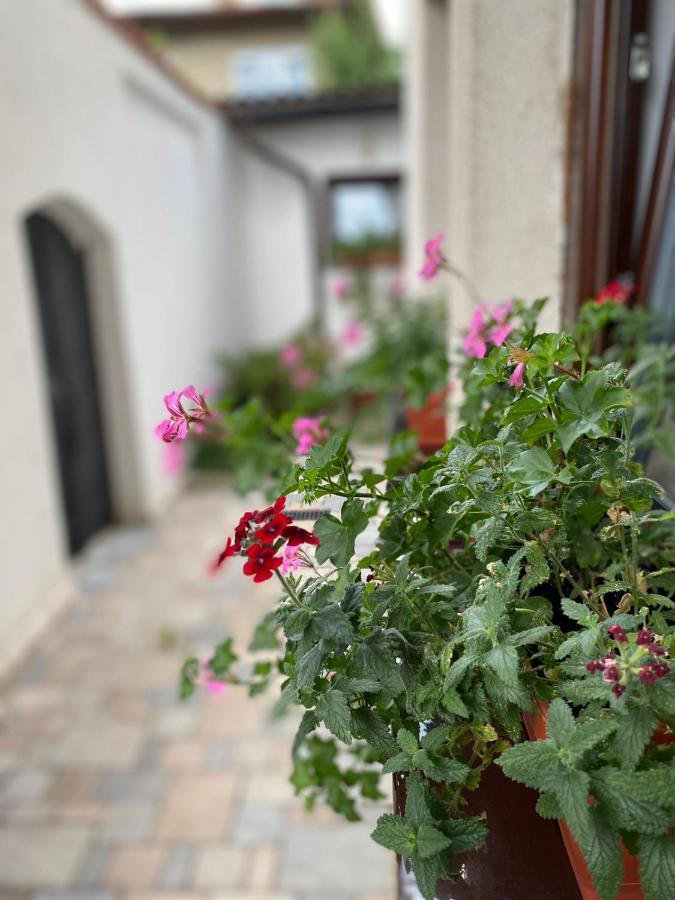 Apartment Ajna Saraybosna Dış mekan fotoğraf